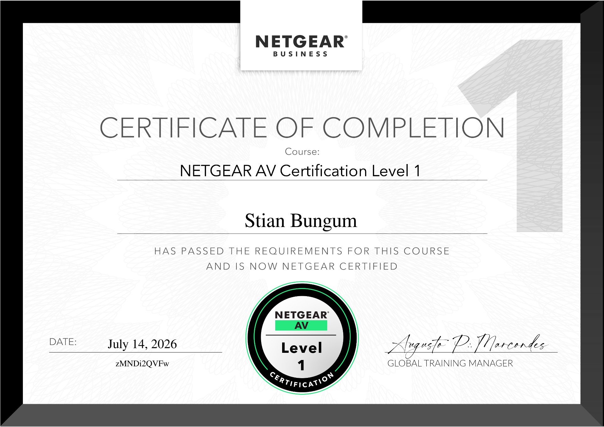 NETGEAR AV Certification — Nivå 1 — NETGEAR Business